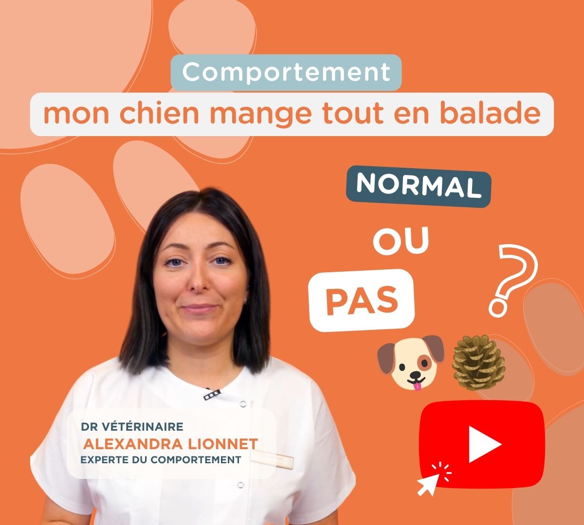 Vidéo de la Dre Alexandra Lionnet sur le comportement du chien qui mange tout en balade.